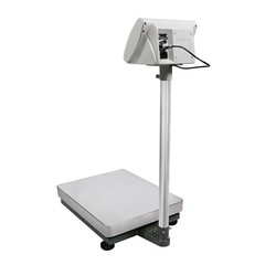 U.S. Solid Floor Bench Scale 310000 x 10 g Platform Balance 680 x 0.02 lb