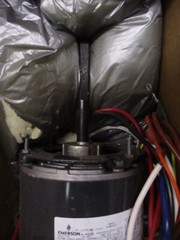 New Emerson 1390 K48HXSTZ-3519 1/4HP 115V Furnace Direct Drive Blower Motor