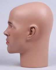 Mannequin Male Head Lifesize Realistic Hand Painted Model ZH-14 © NEW
