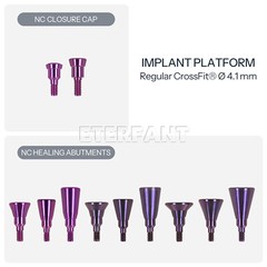 Dental NC/RC Healing Cap Abutments Cover Screw Titanium Fit Straumann ITI BLT