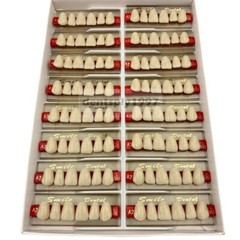 16sets Dental Acrylic Resin Upper Anterior False Teeth Two Layer 20HD Denture