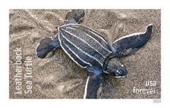 United States Postal Service Protect Sea Turtles 2024 5 Sheets Of 18