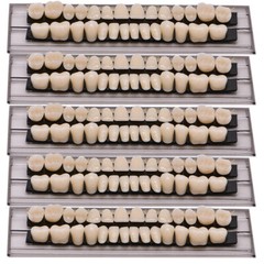 5 Sets Dental Acrylic Resin Denture Shade A2 A3 Upper Lower Full Set False Teeth