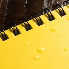 Yellow Universal Pattern Notebook Bundle