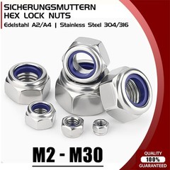 M2 M3 M4 M5 M6-M30 Stainless Steel 304/316 Hex Nyloc Nut Nylon Insert Lock Nuts
