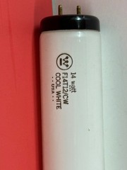 2-PK F14T12/CW 14W 4100K FLUORESCENT LIGHT BULB Cool White F14 T12 NEW 259168