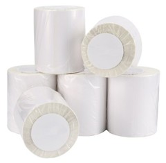 4×6 Direct Thermal Shipping Labels 250 Per Roll for Zebra Eltron 2844 ZP450 UPS