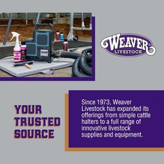 Weaver Leather Weaver Livestock Cattle Fly Mask Adjustable Mesh-Covered Cow