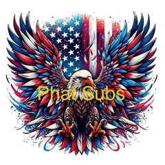 Sublimation Print American Eagle Wings Ready To Press Heat Transfer
