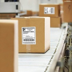 Immuson 4000 Fanfold 4 x 6 Direct Thermal Shipping Labels with Perforations, …