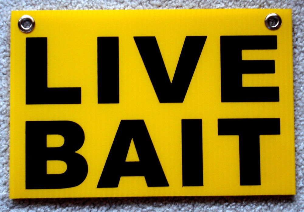 LIVE BAIT Coroplast SIGN with Grommets 8″x12″ FREE SHIPPING!