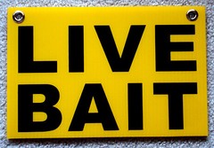 LIVE BAIT Coroplast SIGN with Grommets 8″x12″ FREE SHIPPING!