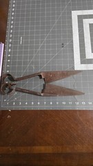 Vtg Sheep Wool Shears Steel Rusty Primitive