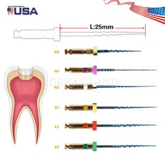 6Pcs Endo Rotary Files Dental X3 Endodontic NITI Engine Files 21/25/31MM