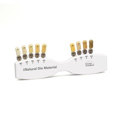 Ivoclar Vivadent Dental Shade Guide A-D 20 IPS or Natural Die ND1-9 Bleach Teeth