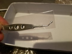 SS Arita Meibomian Gland Expressor Forceps for Dry Eye Gentle Paddle 2.5mm x 3mm