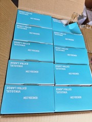 1000 Vinyl Gloves XL Disposable Glove Bluezen 10 box X 100