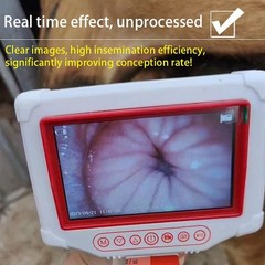 Animal Visual Insemination Rotatable HD Screen Photo Record Artificial GRQA