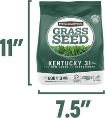 Pennington Kentucky 31 Tall Fescue Penkoted Grass Seed 3 lb 3 LB, Green