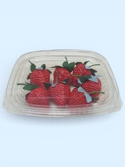 CONTAINER CLEAR 8oz Plastic with Lid Versa Pak H58WN-1 400ct