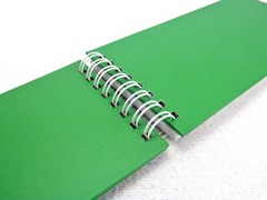 Seth Flip-Top Notebook, 60 Pages, Kelly Green Hard Cover, Wire Bound, #LO3102