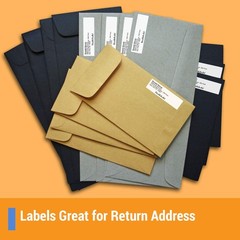 Officesmartlabels Blank Rectangular 1/2 X 1-3/4 Inch Return Address Labels For
