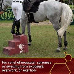 Vita Flex Thermaflex Liniment Gel for Sore Muscles and Joint Relief in Horses…