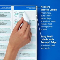 Avery Easy Peel Laser Return Address Labels 1/2″ x 1 3/4″ (5167) PICK YOUR OWN #