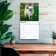 Chihuahuas | 2027 12×24″ (Hanging) Monthly Wall Calendar | Plastic-Free