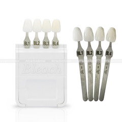 USA Dental Teeth Shade Guide Porcelain 20 Color A-D Tooth 4 Bleach Vivadent