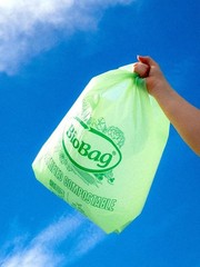 Biobag Usa 100 Certified Compostable Shopping Bags 12 Lb Capacity 500 Count