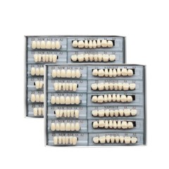 168Pcs/Box Acrylic Resin Denture #23 Dental Upper Lower Shade A2 Teeth Set US