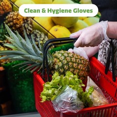Disposable Vinyl Gloves, Latex Free, Case of 1000 Gloves – Large