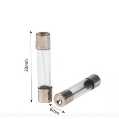 6*30mm 10pcs Fast Blow Glass Fuse 250V .2A .5A 1A 2A 3A 5A 8A 10A 15A 20A 25A