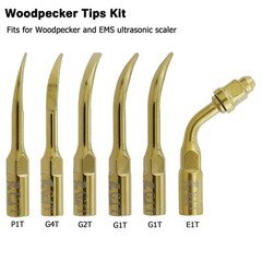 Woodpecker HW-5L DTE HD-7L EMS PIEZON LED Handpiece Ultrasonic Scaler Tips G1 P1