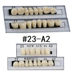 168Pcs Acrylic Resin Denture #23 Dental Upper Lower Shade A2 Teeth Set NEW