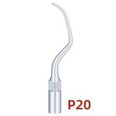 Dental Ultrasonic Scaler P20 Scaling Endo Perio Tips Fit For EMS/Woodpecker