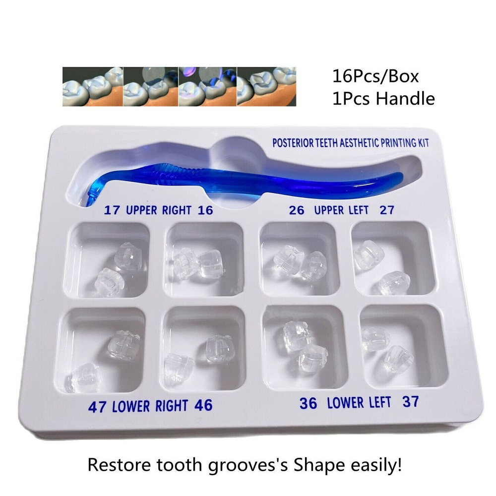 1 Kit Dental Aesthetic Printing Light Cure Composite Curing Posterior Molar Mold