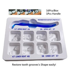 1 Kit Dental Aesthetic Printing Light Cure Composite Curing Posterior Molar Mold