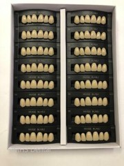 HUGE KAILI Synthetic Polymer False Teeth Upper Anterior S8 Full Box 16sets/6pcs