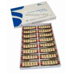 16sets Dental Acrylic Resin Upper Anterior False Teeth Two Layer 20HD Denture
