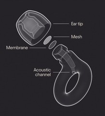 Loop Experience 2 GOLD Earplugs, 17dB Hearing Protection for Loud music & Events