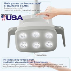 Lámpara Dental de 9W con 6 LEDs y Luz Oral para Silla de Unidad
