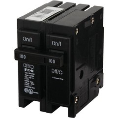 100A Double-Pole Circuit Breaker – Standard Type