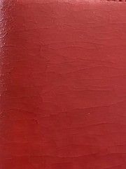 Filofax Pocket Dorset Italian Leather*Look Closely At Pictures-cracking*