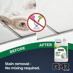 RMR-86 Instant Mold Stain and Mildew Remover 320 Fl Oz (Pack of 1)