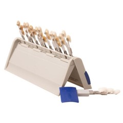 Dental VITA Toothguide 3D Master Shade System with Bleached Shade Guide 29 Color