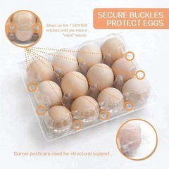 100 Packs Egg Cartons Cheap Bulk Plastic for 12 Eggs Clear Egg Cartons