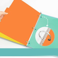 Bright Color Binder Dividers, 8 Tabs for 3 Ring Folder, Home Use