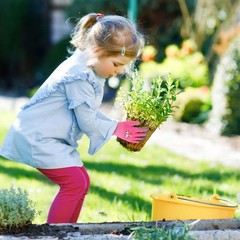 3 Pairs Gardening Gloves for Kids 24 Years, Kids Work Gloves with Late…